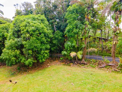 0 Ole St, Pahoa, HI 96778 - photo 6