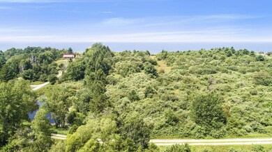 DJI_0154