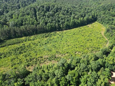 0 Brushy Rd unit RTC2923157, Centerville, TN 37033 - photo 2