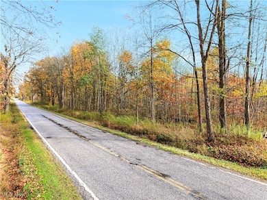 20 Rd, Cortland, OH 44410 - photo 5