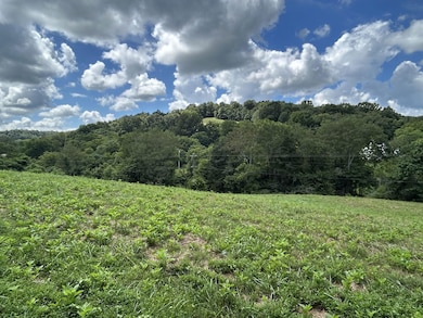 1 Chicken Creek Rd, Pulaski, TN 38478 - photo 2