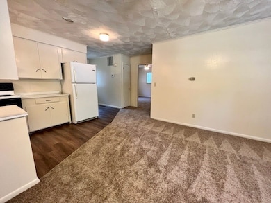 2011 Helen St, Fayetteville, AR 72701 - photo 3