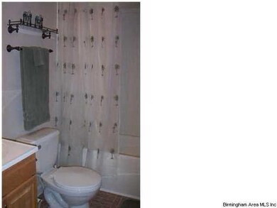 Guest bathroom.