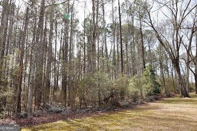 0 Monroe Hwy unit 10466108, Bethlehem, GA 30620 - photo 6