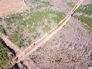 0 China Grove Rd, Ruston, LA 71270 - photo 6