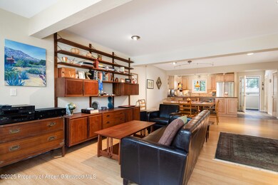 100 N 8th St unit 26, Aspen, CO 81611 - photo 5