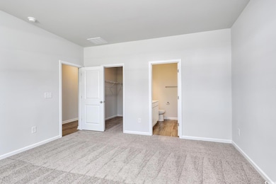 Unfurnished bedroom with carpet flooring, a spacious closet, baseboards, and a closet