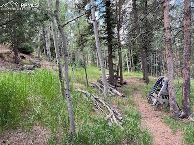 70 Cradle Lake Place, Divide, CO 80814 - photo 4