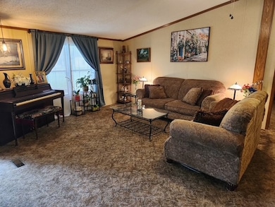 Carpeted living room featuring ornamental molding and lofted ceiling