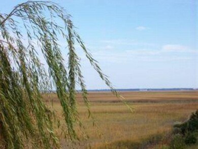 Marsh view 2