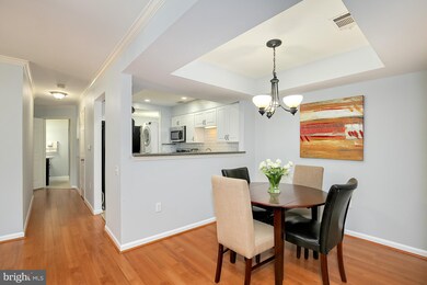 5700 Chapman Mill Dr unit 160, Rockville, MD 20852 - photo 5