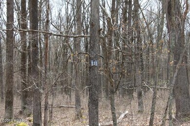 220 Mountain Top Rd, Lackawaxen, PA 18435 - photo 2