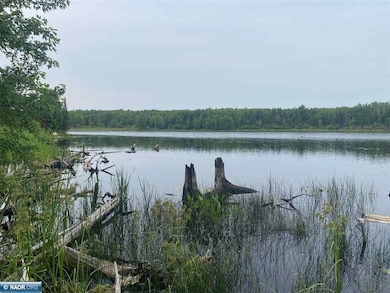 TBD Hwy 1, Tower, MN 55790 - photo 3