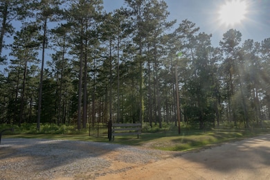 12404 Dozier Hwy, Brantley, AL 36009 - photo 3