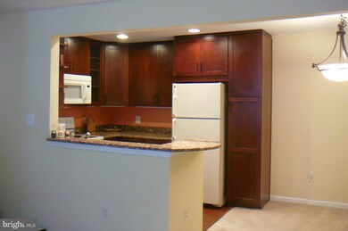 11717 Karbon Hill Ct unit 709H, Reston, VA 20191 - photo 2