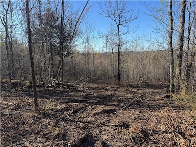 Tract 2 Nc 8374 Rd, Jasper, AR 72641 - photo 3