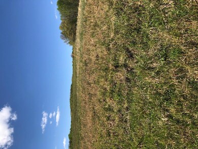 0 Officers Chapel Rd, Cookeville, TN 38506 - photo 2