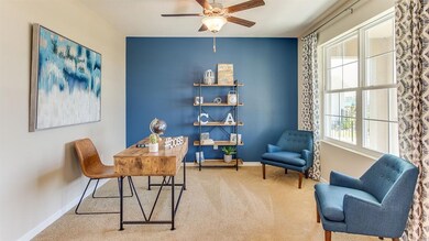 35520 Stella Vast Dr, Zephyrhills, FL 33541 - photo 3