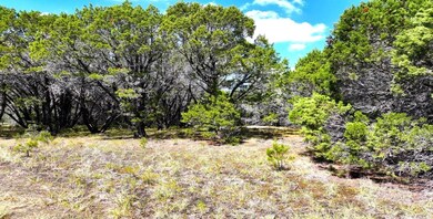 1697 Red Bud Ct, Whitney, TX 76692 - photo 7