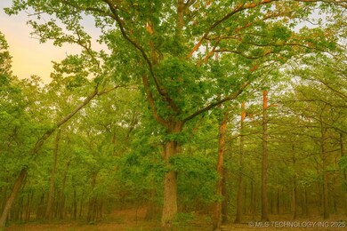 65300 Blackhawk Ridge Rd, Proctor, OK 74464 - photo 7