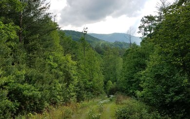 Additional View