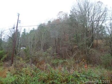 Wooded hillside