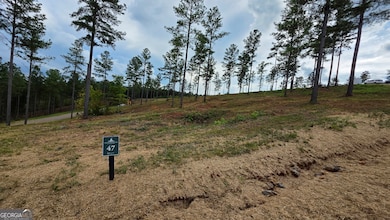 47 Springfield Pkwy, Ellijay, GA 30540 - photo 3