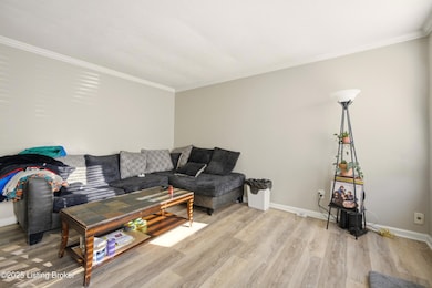 8907 Maplecreek Dr, Louisville, KY 40219 - photo 5