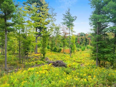 0 County Road B unit 50318666, Marinette, WI - photo 2