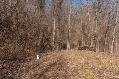 2220 Tilley Creek Rd unit Tract 3, Cullowhee, NC 28723 - photo 4