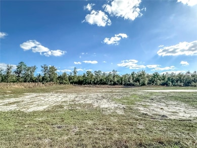 323 SW Blast Ct, Fort White, FL 32038 - photo 7