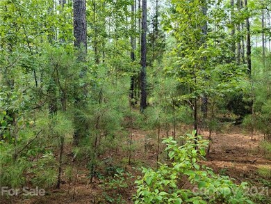 5028 Townsend Buildsite View