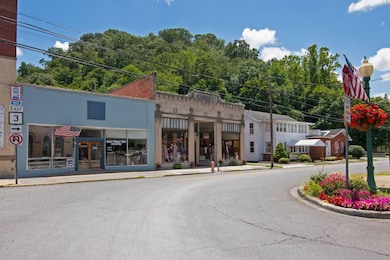 342 S Monroe St, Alderson, WV 24910 - photo 5