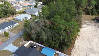 0 SW 151st Place unit MFRO6273638, Ocala, FL 34473 - photo 5
