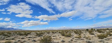 800 Donaldson Rd, Lucerne Valley, CA 92356 - photo 6