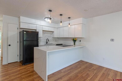 1851 Florida Rd unit 103, Durango, CO 81301 - photo 2