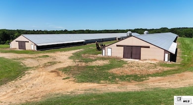 156 Jake Frost Rd, Downsville, LA 71234 - photo 6