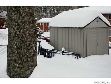 Shed