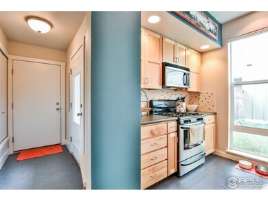 803 Heschel St, Fort Collins, CO 80524 - photo 5