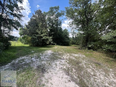 00 Hodges Rd, Hinesville, GA 31313 - photo 6