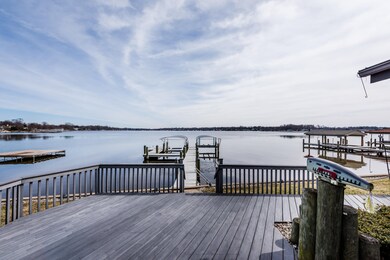 Paw Paw Lk-103