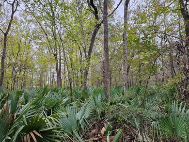 0000 A McGregor Rd, Conroe, TX 77302 - photo 6