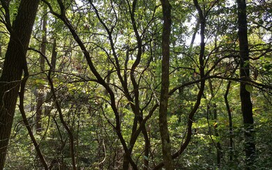 36&37 Stuart Highlands Dr, Mineral Bluff, GA 30559 - photo 2