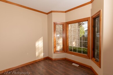 23922 Pheasant Run Ct, Naperville, IL 60564 - photo 3