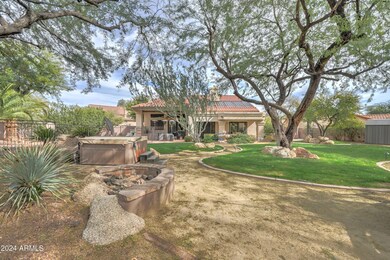 Huge backyard