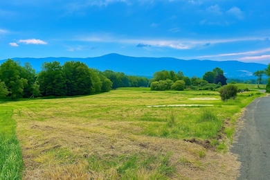 0 E Mountain Rd unit 73390786, Adams, MA 01220 - photo 2