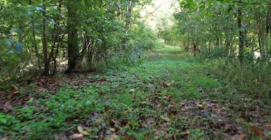 Parkway Dr, Saint Clair, MO 63077 - photo 2