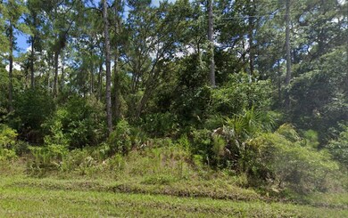 Lot 15 Jadol St, North Port, FL 34286 - photo 4