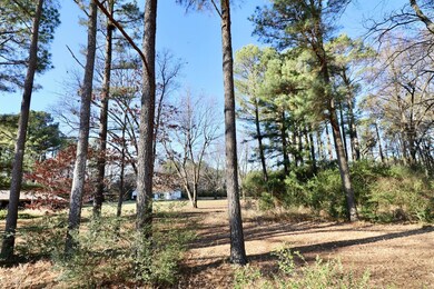 1662 Cr 730, Jonesboro, AR 72401 - photo 4