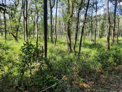 569 River Rd, Salley, SC 29137 - photo 3